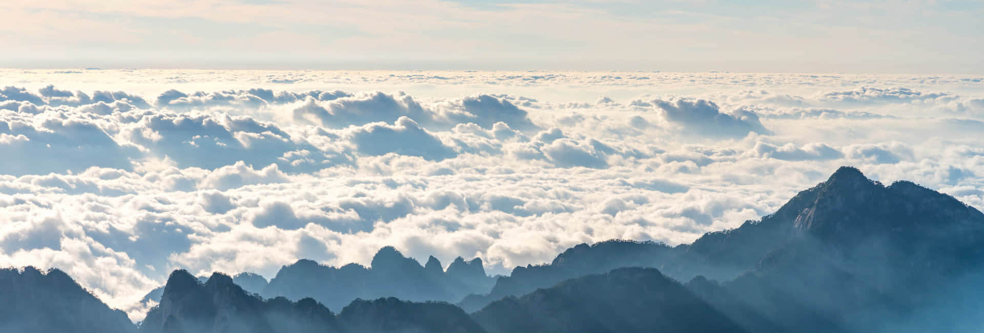 8868电子体育_8868（中国）简介